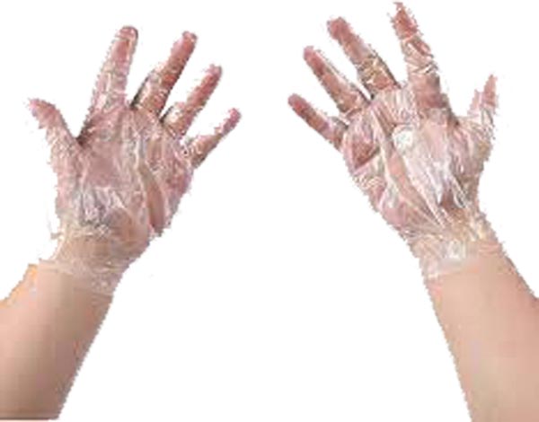 338_Disposable Hand Gloves_Clear